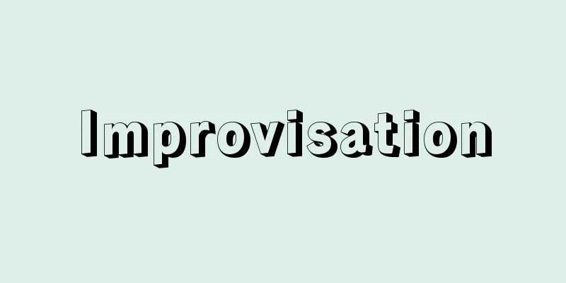 Improvisation
