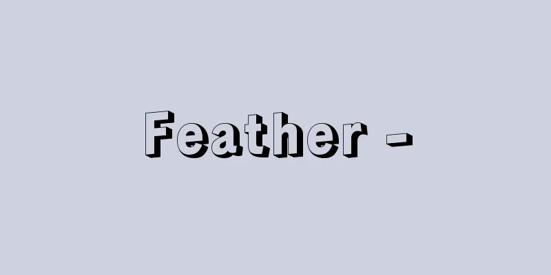 Feather -