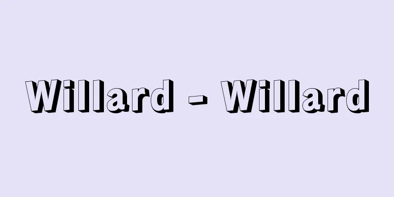 Willard - Willard