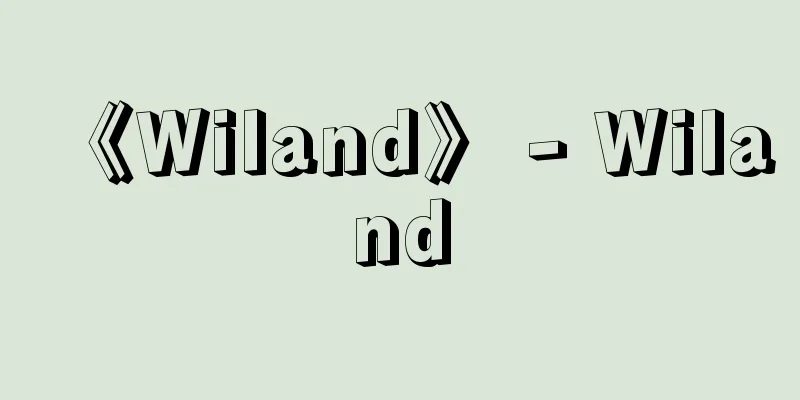 《Wiland》 - Wiland