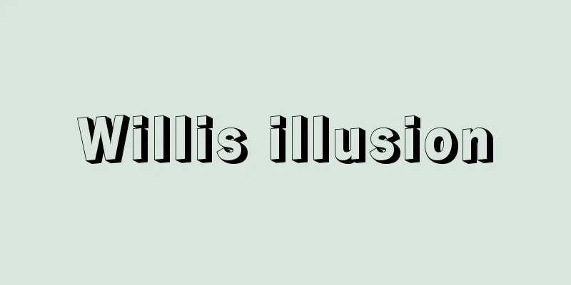 Willis illusion