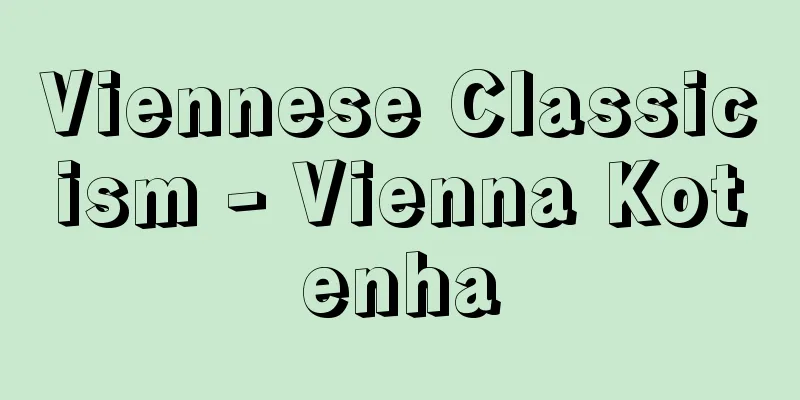 Viennese Classicism - Vienna Kotenha