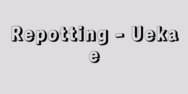 Repotting - Uekae
