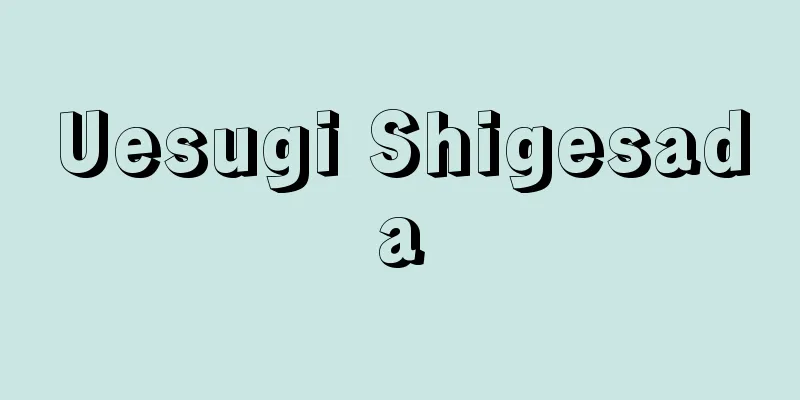 Uesugi Shigesada