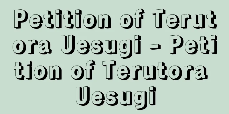 Petition of Terutora Uesugi - Petition of Terutora Uesugi