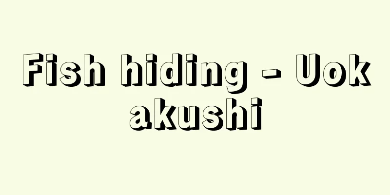 Fish hiding - Uokakushi