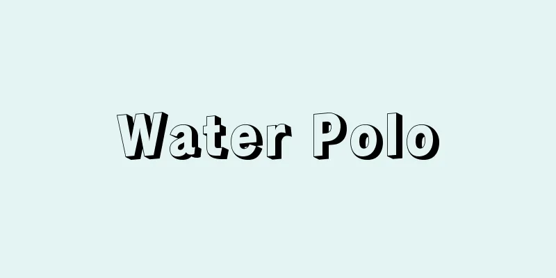 Water Polo