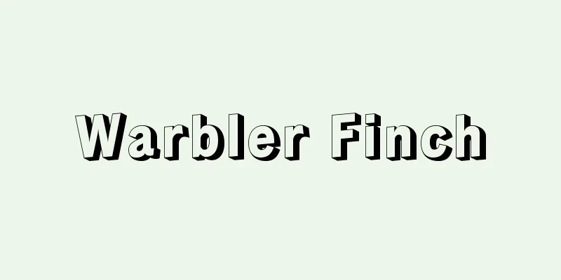 Warbler Finch