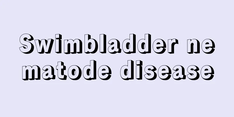 Swimbladder nematode disease
