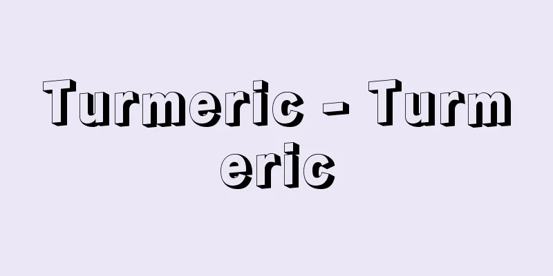 Turmeric - Turmeric