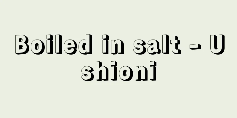 Boiled in salt - Ushioni