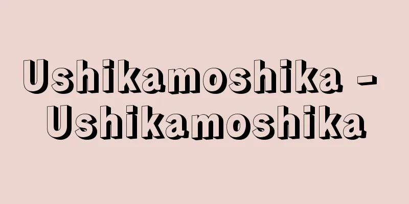 Ushikamoshika - Ushikamoshika