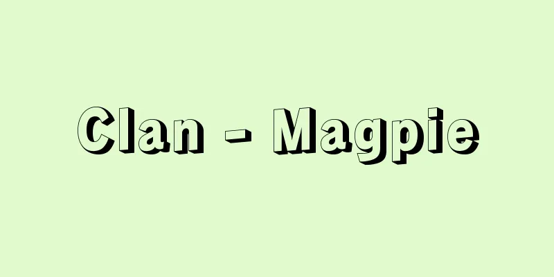 Clan - Magpie
