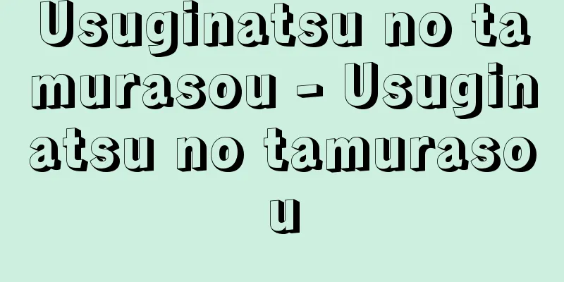 Usuginatsu no tamurasou - Usuginatsu no tamurasou