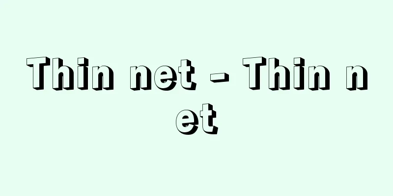 Thin net - Thin net