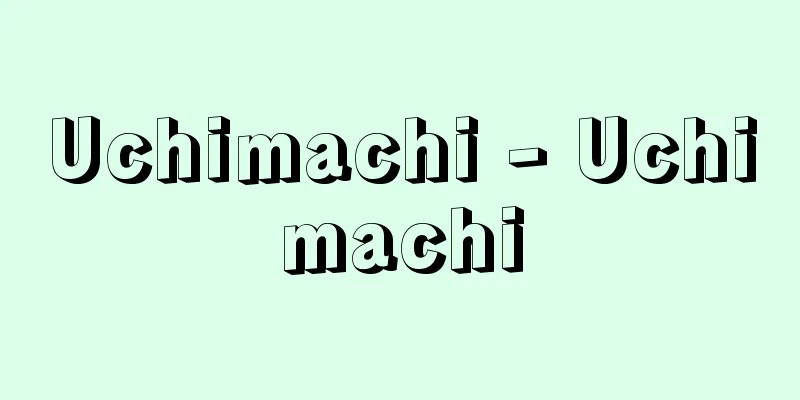 Uchimachi - Uchimachi
