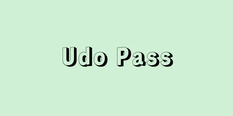 Udo Pass