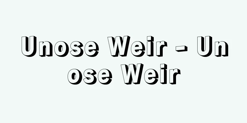 Unose Weir - Unose Weir