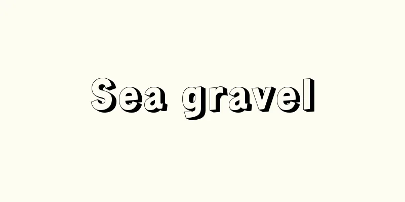 Sea gravel