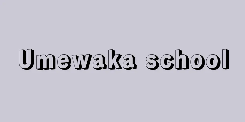 Umewaka school