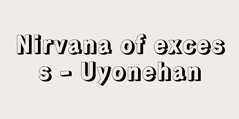 Nirvana of excess - Uyonehan