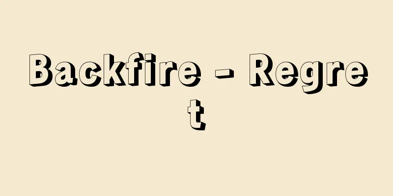 Backfire - Regret