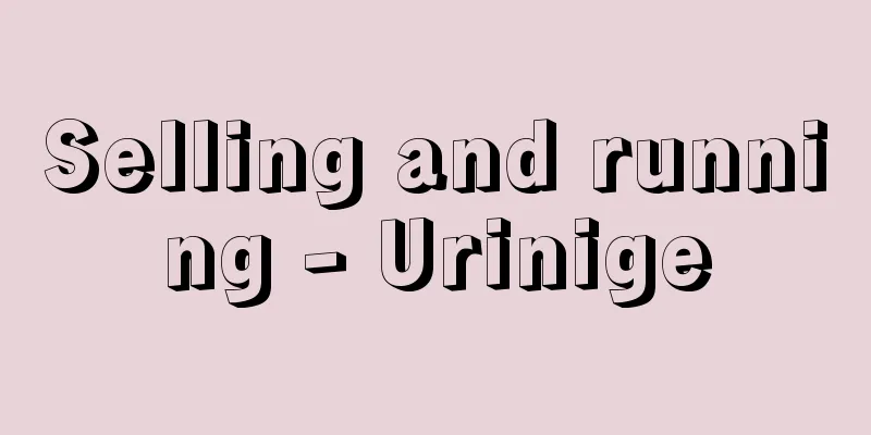 Selling and running - Urinige