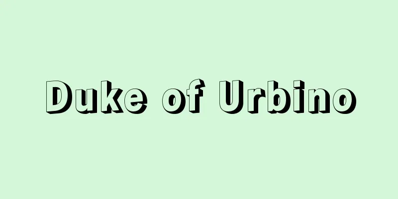Duke of Urbino