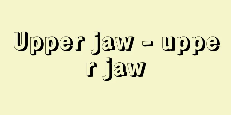 Upper jaw - upper jaw