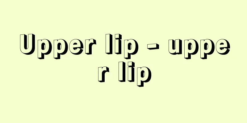 Upper lip - upper lip