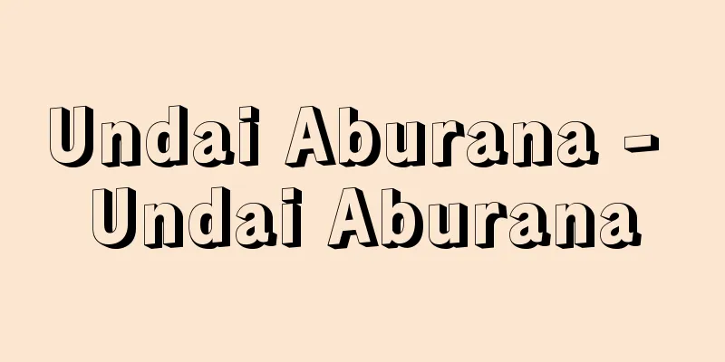 Undai Aburana - Undai Aburana