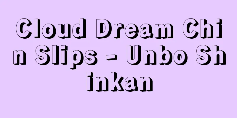 Cloud Dream Chin Slips - Unbo Shinkan