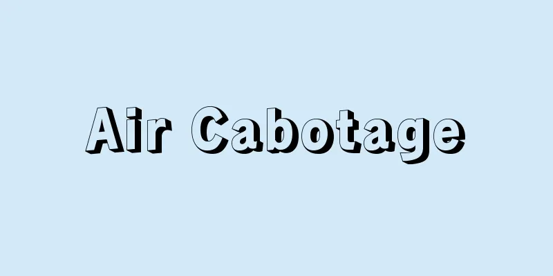 Air Cabotage