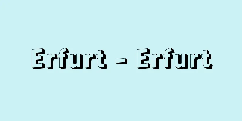 Erfurt - Erfurt