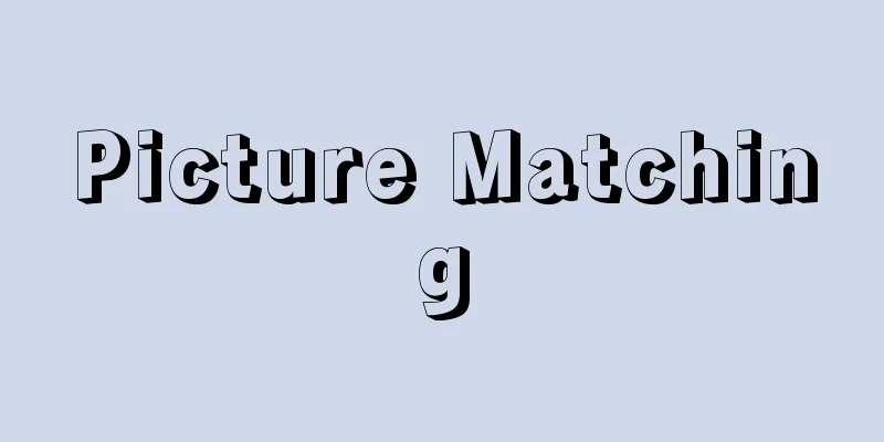 Picture Matching