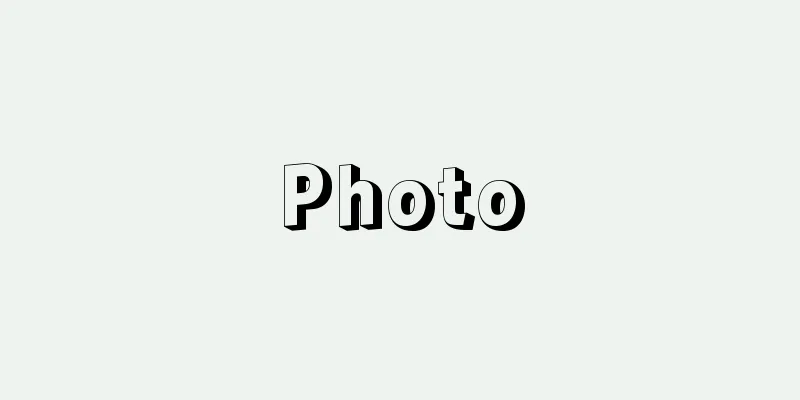 Photo