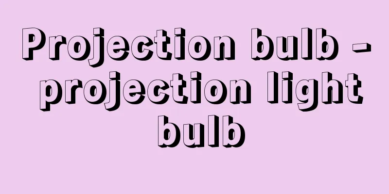 Projection bulb - projection light bulb