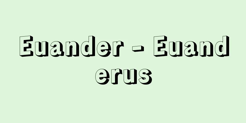 Euander - Euanderus