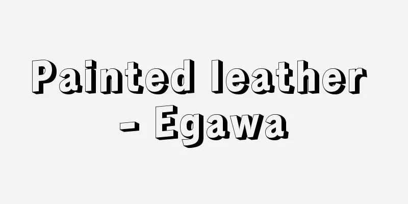 Painted leather - Egawa