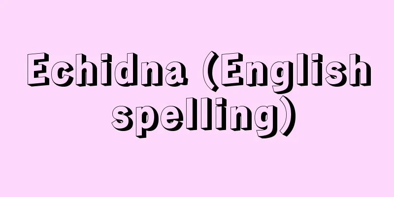 Echidna (English spelling)