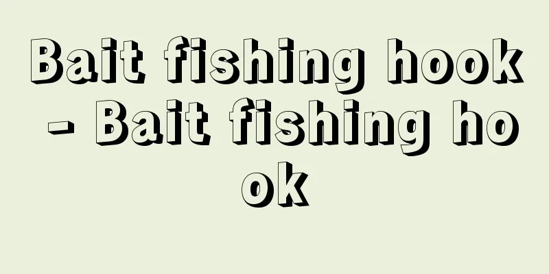 Bait fishing hook - Bait fishing hook