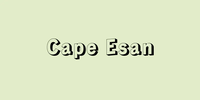 Cape Esan