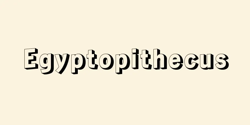 Egyptopithecus