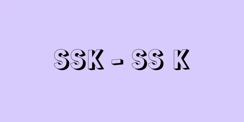 SSK - SS K