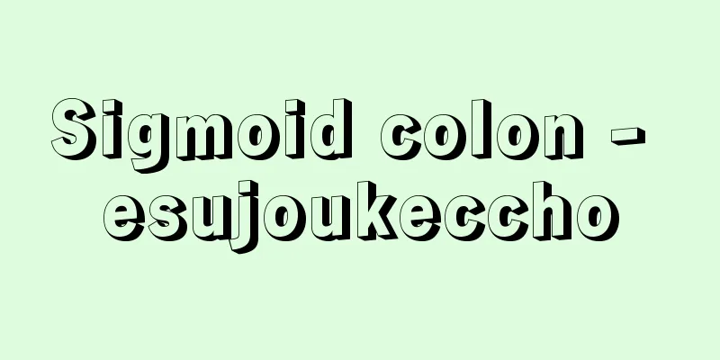 Sigmoid colon - esujoukeccho