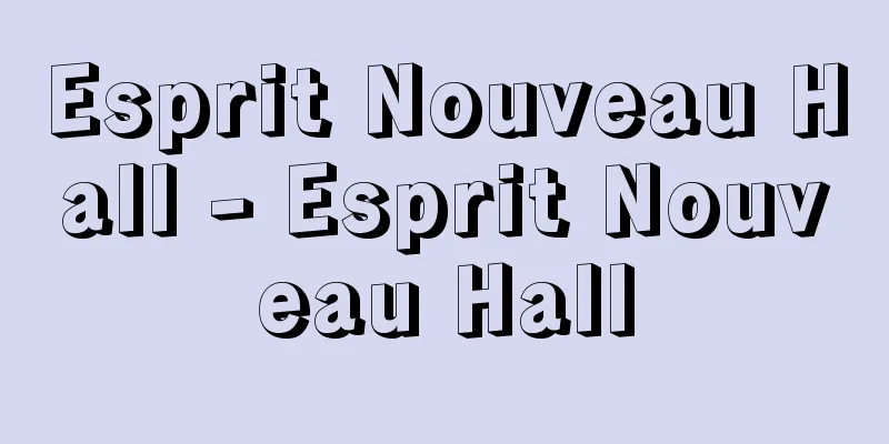 Esprit Nouveau Hall - Esprit Nouveau Hall