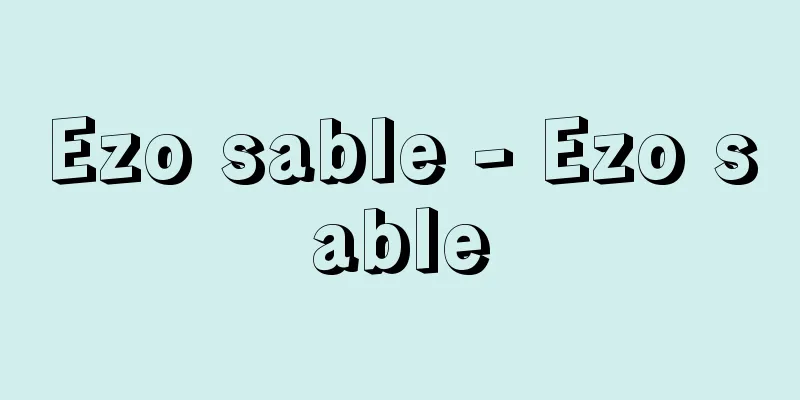 Ezo sable - Ezo sable