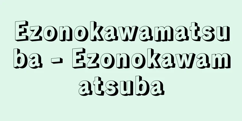 Ezonokawamatsuba - Ezonokawamatsuba