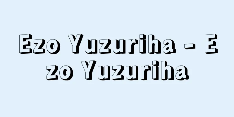 Ezo Yuzuriha - Ezo Yuzuriha