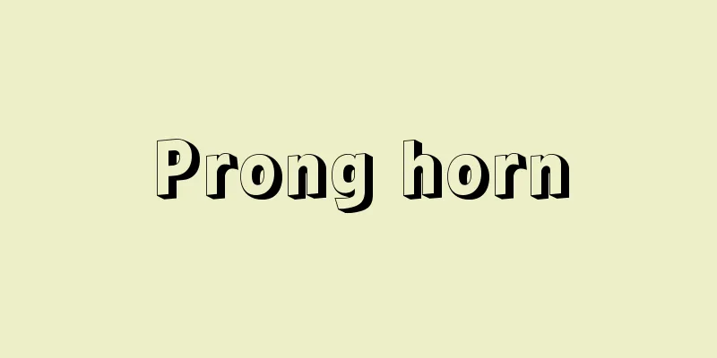 Prong horn